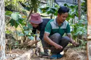 Hướng đi xanh từ phát triển kinh tế dưới tán rừng