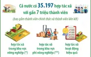 Hợp tác xã Việt Nam phát triển mạnh với 35.197 đơn vị và gần 7 triệu thành viên