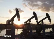 IEA cảnh báo: Nhu cầu dầu toàn cầu đối mặt đợt sụt giảm mạnh chưa từng có