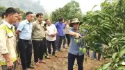 Điện Biên Biệt Phái 52 Cán Bộ Về Xã, Đạt Hiệu Quả Cao Trong Hỗ Trợ Cơ Sở