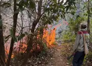 Điện Biên Cấm Đốt Thực Bì Một Tháng, Tăng Cường Phòng Chống Cháy Rừng Trong Mùa Nắng Nóng