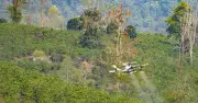 Điện Biên tiên phong thử nghiệm drone trong nông nghiệp, mở ra hướng phát triển kinh tế không gian tầm thấp