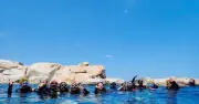 Kỳ nghỉ kép tháng 4 thúc đẩy du lịch biển, xu hướng nghỉ ngắn ngày lên ngôi