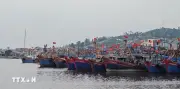 Khắc phục tình trạng 'vàng ươu' từ cảng cá đến tàu cá: Tăng cường chế tài toàn diện