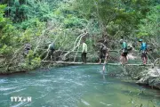 Khám Phá Vẻ Hoang Sơ Của Thác Cảnh Linh Giữa Đại Ngàn Miền Tây Nghệ An