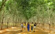 Kinh nghiệm du lịch tiết kiệm tiền nhiều lợi ích