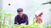 Lai Châu đẩy mạnh phát triển nông nghiệp xanh, bền vững đến năm 2030