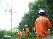 Lâm Đồng chấp thuận đầu tư 2 đường dây 110kV trị giá 367 tỷ đồng