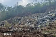 Lâm Đồng kiên quyết xử lý khai thác khoáng sản trái phép, giữ hàng trăm cây đá bazan