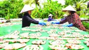Làng Nghề Đồng Tháp: Khăn Rằn Và Khô Cá Lóc Nuôi Sống Hàng Trăm Gia Đình