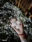 Lào Cai: Mưa đá to như trứng gà gây thương vong và thiệt hại tại Bắc Hà