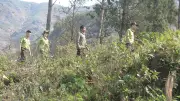 Lào Cai tăng cường phòng chống cháy rừng trong mùa nắng nóng gay gắt
