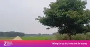Lão nông Quảng Ngãi bị sét đánh tử vong khi chở lúa về