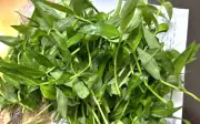 Loại cỏ dại mọc nhiều sau mua chế biến món ngon giúp bổ phổi giải nhiệt ngày hè