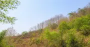 Long Hẹ (Sơn La) thu hẹp khoảng cách số, đẩy mạnh phát triển nông nghiệp nhờ giảm nghèo thông tin