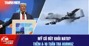 Mỹ cân nhắc rút khỏi NATO, tăng cường tuần tra eo biển Hormuz