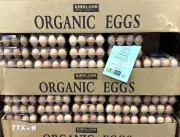 Mỹ Gia Tăng Trừng Phạt Lao Động Trong Mùa Lễ Phục Sinh