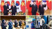 Mở ra nhiều cơ hội hợp tác Việt Nam-Hàn Quốc