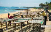 Mùa Cá Cơm Đắk Lắk: Hương Vị Biển Cả Trên Những Vỉ Phơi