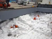 Ấn Độ Dẫn Đầu Xuất Khẩu Gạo Thế Giới 2025, Việt Nam Vươn Lên Vị Trí Thứ Hai