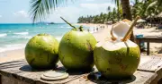 Nước Dừa Tươi: Lựa Chọn Hàng Đầu Giải Nhiệt Ngày Nắng Nóng Theo Khoa Học
