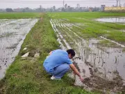 Ứng Dụng AI Tích Hợp Đa Công Nghệ Chống Xâm Nhập Mặn Tại Đồng Bằng Sông Hồng