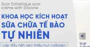 Ngừa Sẹo Sau Mụn: Bí Quyết Khoa Học Để Da Phục Hồi Hoàn Hảo Tại Nhà
