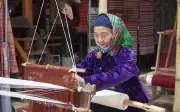 Nghề Dệt Thổ Cẩm Pù Luông: Bảo Tồn Văn Hóa Thái Giữa Núi Rừng Thanh Hóa