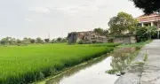 Người dân băn khoăn về chuyển đổi 200m2 đất HH sang đất ở nông thôn và lối đi