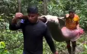 Người dân Brazil khiêng cá pirarucu khổng lồ 150 kg, minh chứng cho quản lý bền vững