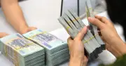 Ngân hàng Nhà nước giảm tỷ giá trung tâm, USD thế giới tăng trở lại