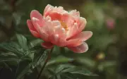 Ngày sinh âm lịch mang lại vận may tài lộc cho diễn viên Đăng Mơ Ước