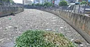 Ô nhiễm nghiêm trọng tại Kênh Nước Đen: Rác thải và lục bình ùn ứ đe dọa sức khỏe người dân