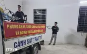 Ninh Bình bắt giữ vụ khai thác, vận chuyển cây muồi hồng trái phép