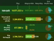 Năm 2025, diện tích rừng cả nước đạt hơn 14,97 triệu hecta