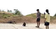Năm du khách bị khỉ hoang cắn tại Phú Yên, đã tiêm huyết thanh phòng dại