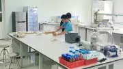 Nâng cao hiệu quả phòng thí nghiệm: Từ đầu tư thiết bị đến làm chủ vận hành