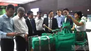 Đà Nẵng Kiên Định Chuyển Đổi Xanh, Hướng Tới Đô Thị Sinh Thái Và Thông Minh