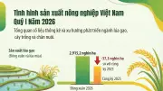 Nông nghiệp Quý I/2026: Chuyển dịch cơ cấu tích cực, sản xuất ổn định và tăng trưởng bền vững