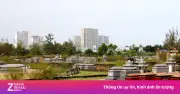 Đà Nẵng đề xuất di dời gần 400.000 ngôi mộ để phát triển đô thị ven biển