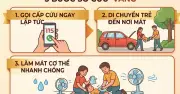 Não trẻ dễ tổnương vì nhiệt: Bác sĩ cảnh báo nguy cơ khi bỏ quên trong ô tô