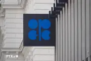 OPEC+ Đồng Ý Tăng Hạn Ngạch Dầu Mỏ Khiêm Tốn Giữa Xung Đột Trung Đông