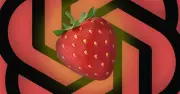 OpenAI đặt tên bí danh 'Strawberry' cho AI theo lỗi đếm chữ r trong 'strawberry'