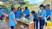 Phú Quý đối mặt thách thức lớn để đạt mục tiêu 100% trường chuẩn quốc gia vào năm 2030