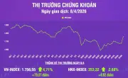 Phiên Giao Dịch Khởi Sắc: VN-Index Tăng Mạnh Hơn 7.9 Điểm, Thị Trường Sôi Động