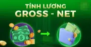 Phân Biệt Lương Gross Và Net: Cách Tính Chính Xác Và Các Khoản Khấu Trừ Bắt Buộc