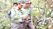 Phong Nha-Kẻ Bàng: Lực lượng bảo vệ rừng vượt khó giữ màu xanh di sản