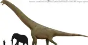 Phát hiện khủng long Patagotitan 77 tấn: Quái vật tiền sử thách thức danh hiệu lớn nhất