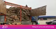 Phát hiện vận chuyển trái phép gỗ và hàng hóa qua biên giới Lạng Sơn, Cao Bằng