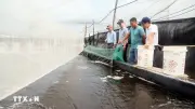 Phát triển nuôi trồng thủy sản hồ chứa: Kỳ vọng đạt 16.000 tỷ đồng mỗi năm